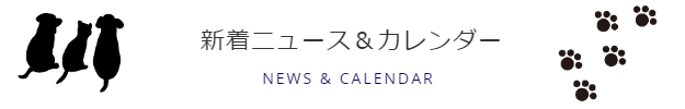 新着ニュース