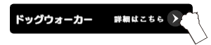 詳細はこちら