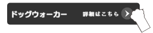 詳細はこちら